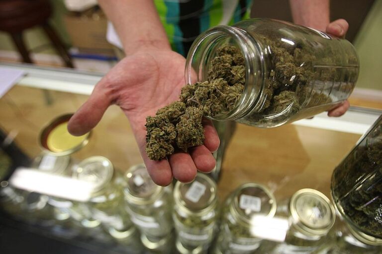 Same Day Weed Delivery Winnipeg: What You Need To Know