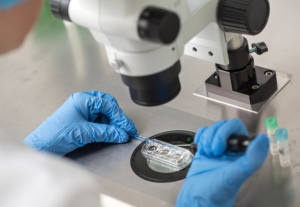 Innovative Horizons: Dr. Zamip Patel's Pioneering Fusion of Technology and Care