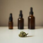 Discover High-Quality Cannabis Extracts Online in Canada – A Complete Guide for Modern Shoppers