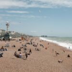 Brighton Cozier-Duberry Transfer: A Smart Move for Albion